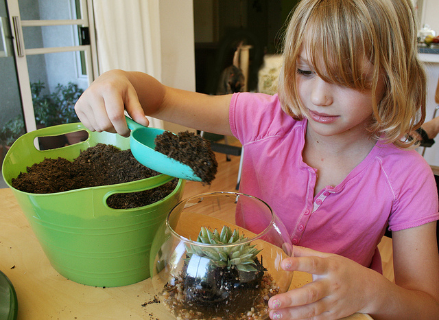 Terrarium for Kids - Made To Be A Momma