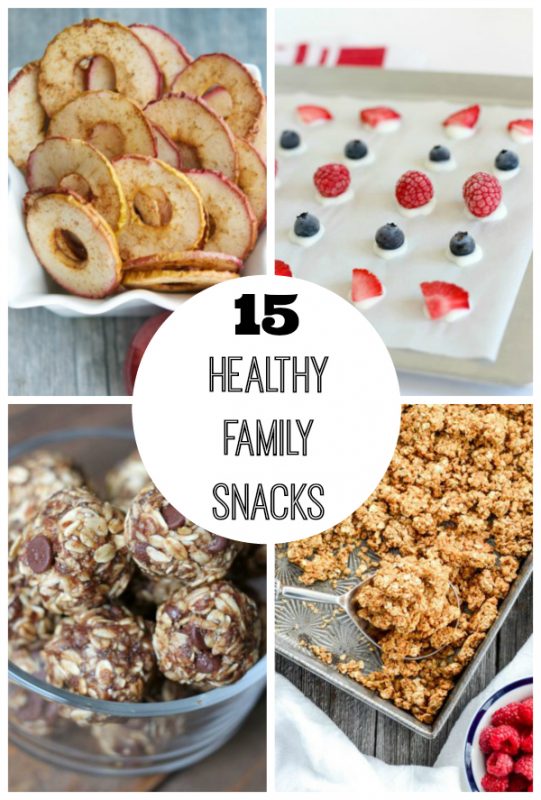 15 Healthy Snacks for the Whole Family - Make and Takes