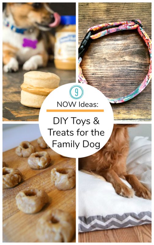 9 NOW Ideas: Treats & Toys to Make for the Family Dog - Make and Takes