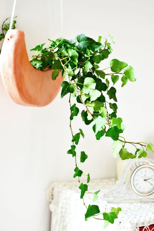 21 DIY Hanging Planters YOU Can Make Make and Takes