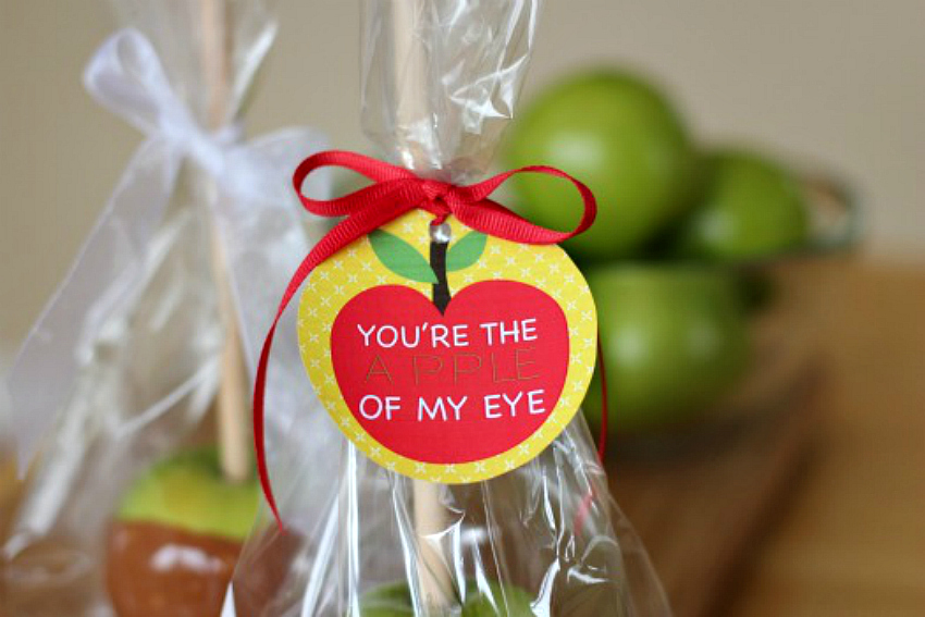 The 5 Best Teacher Lunch Bags - Appletastic Learning