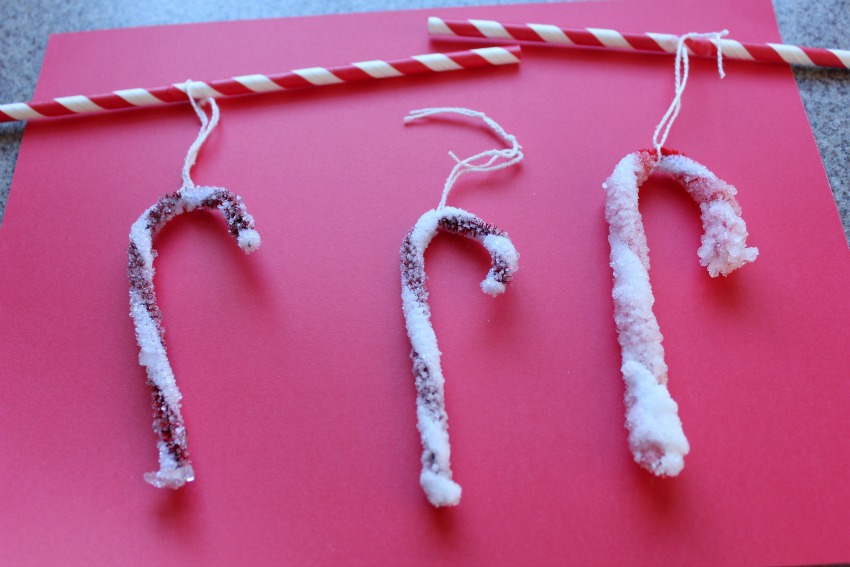 Crystal Candy Cane Science Make and Takes