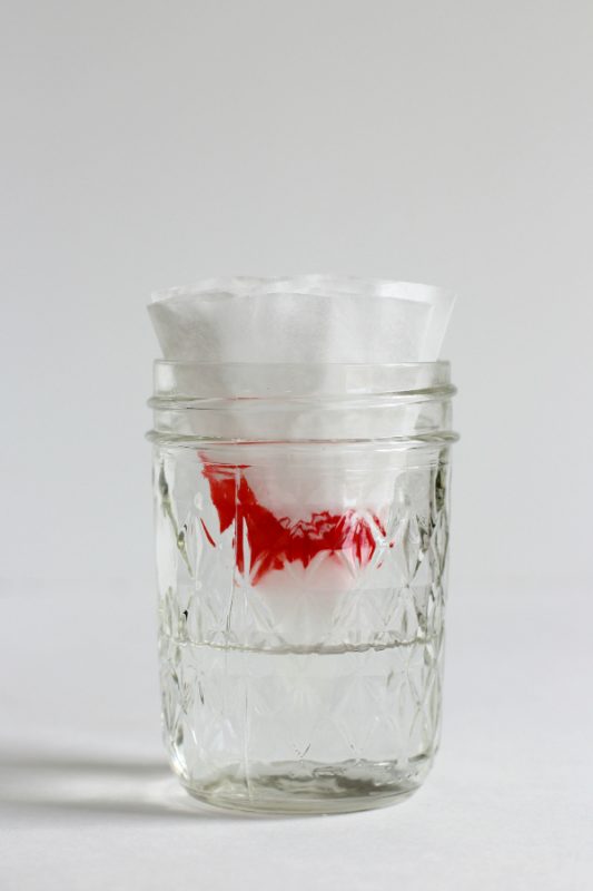 Rainbow Marker Coffee Filter Experiment Make and Takes