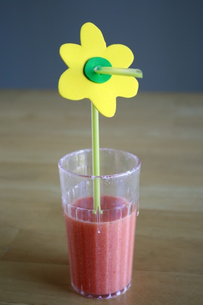 2-craft flower Blog  BabyCenter straw buddies Summer