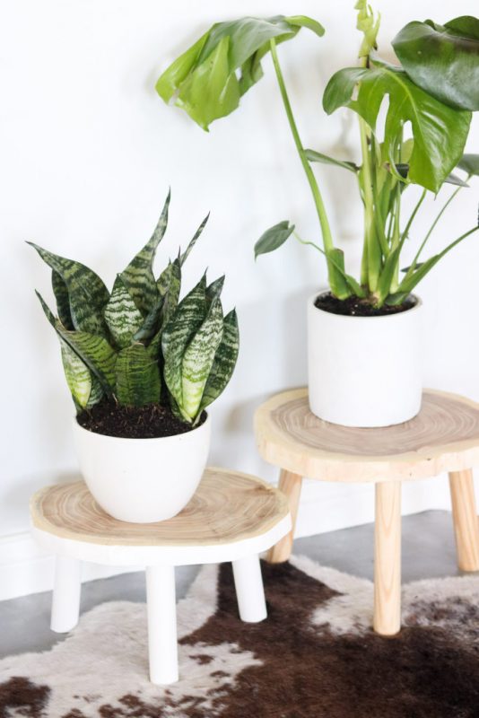 9 Now Ideas for DIY Plant Holders Make and Takes
