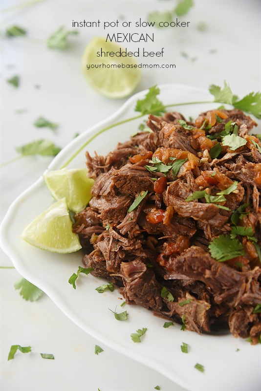Mexican Shredded Beef Mexican Shredded Beef
