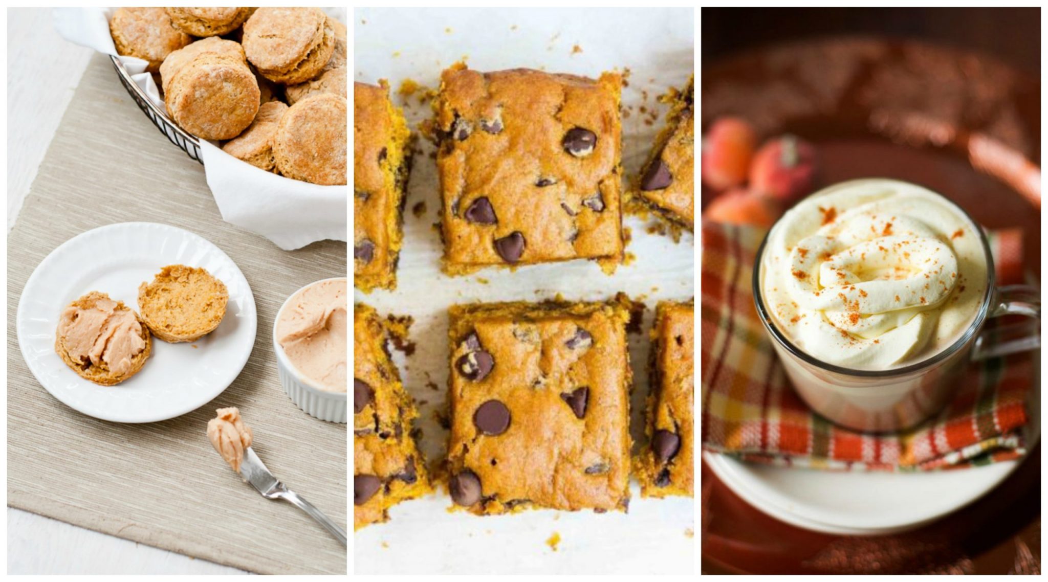 9 Ideas for Pumpkin Recipes - Make and Takes