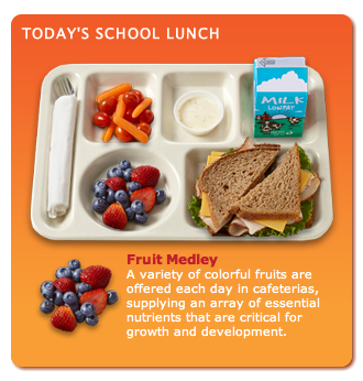 Lunch Tray  Healthy school, School food, School nutrition