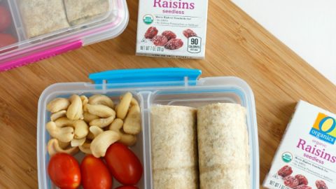 Easy Lunchbox Idea: Turkey Pesto Roll-Ups - Make and Takes