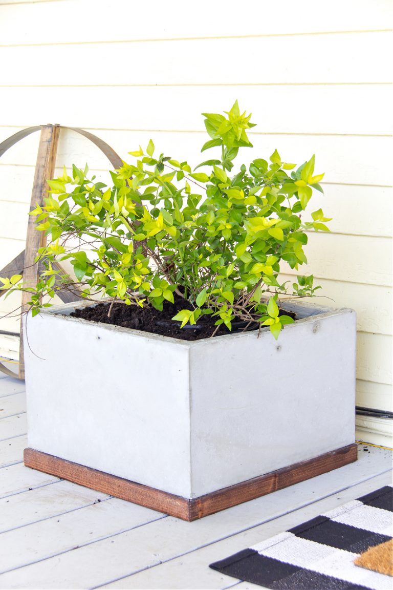 How to Make a DIY Concrete and Wood Planter - Make and Takes