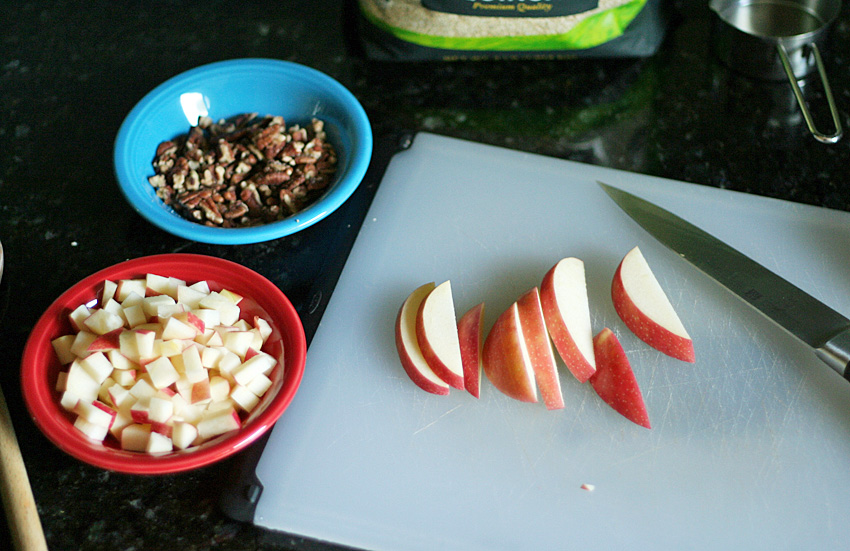 Apple Cider Quinoa Breakfast Make and Takes