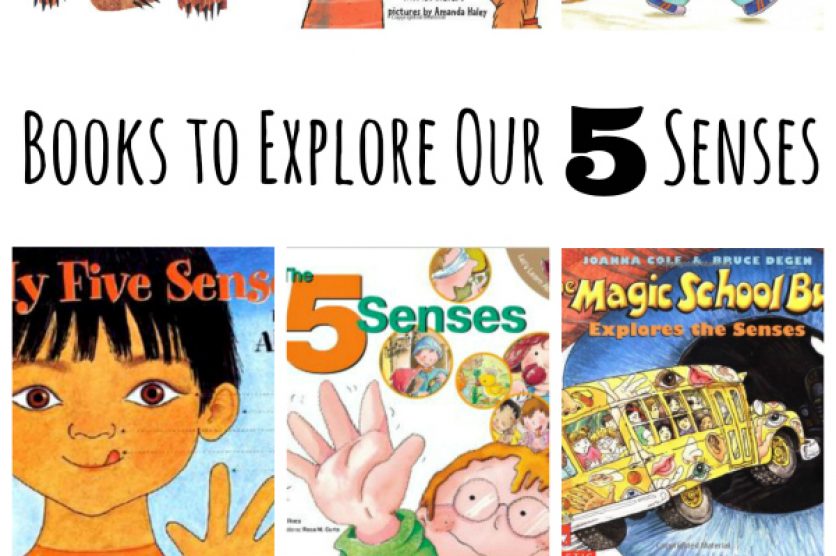 Children's Book to Explore Our 5 Senses