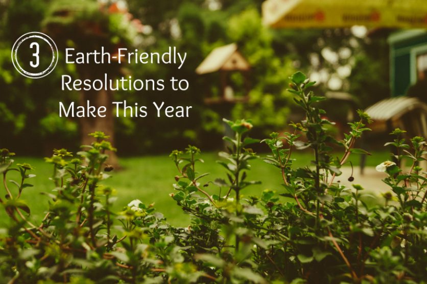 3 Earth-Friendly Resolutions to Make This Year