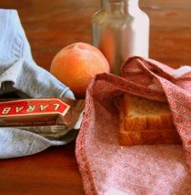 DIY Reusable Lunch Set