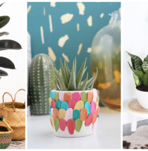 DIY Planters