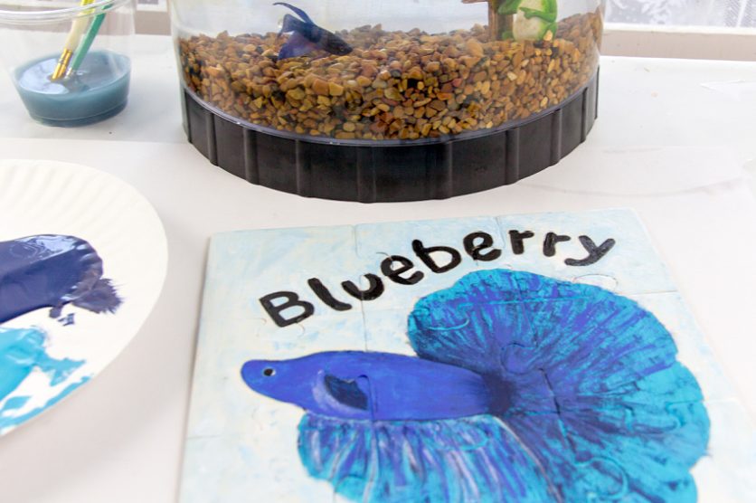 diy pet fish puzzle for kids