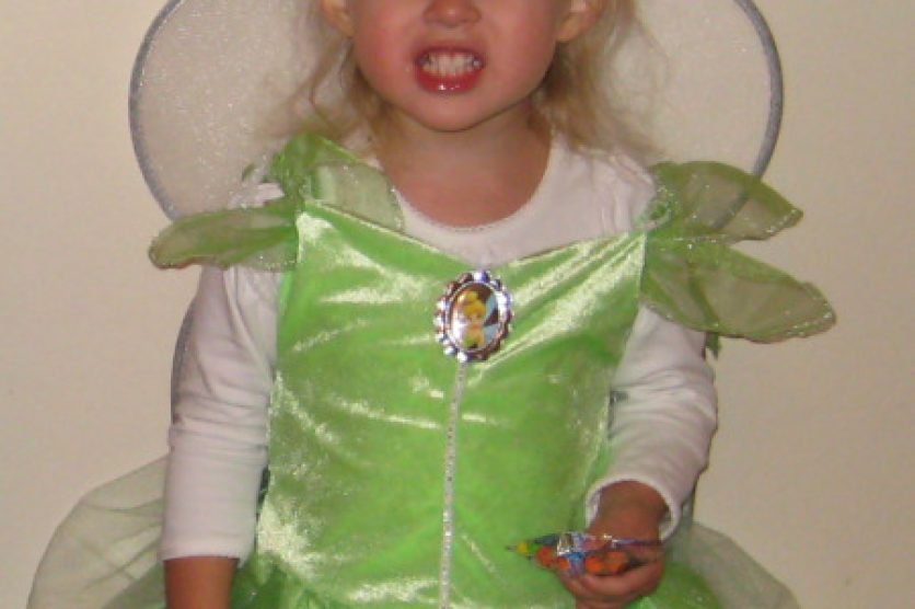 Fairy Costume Birthday Party