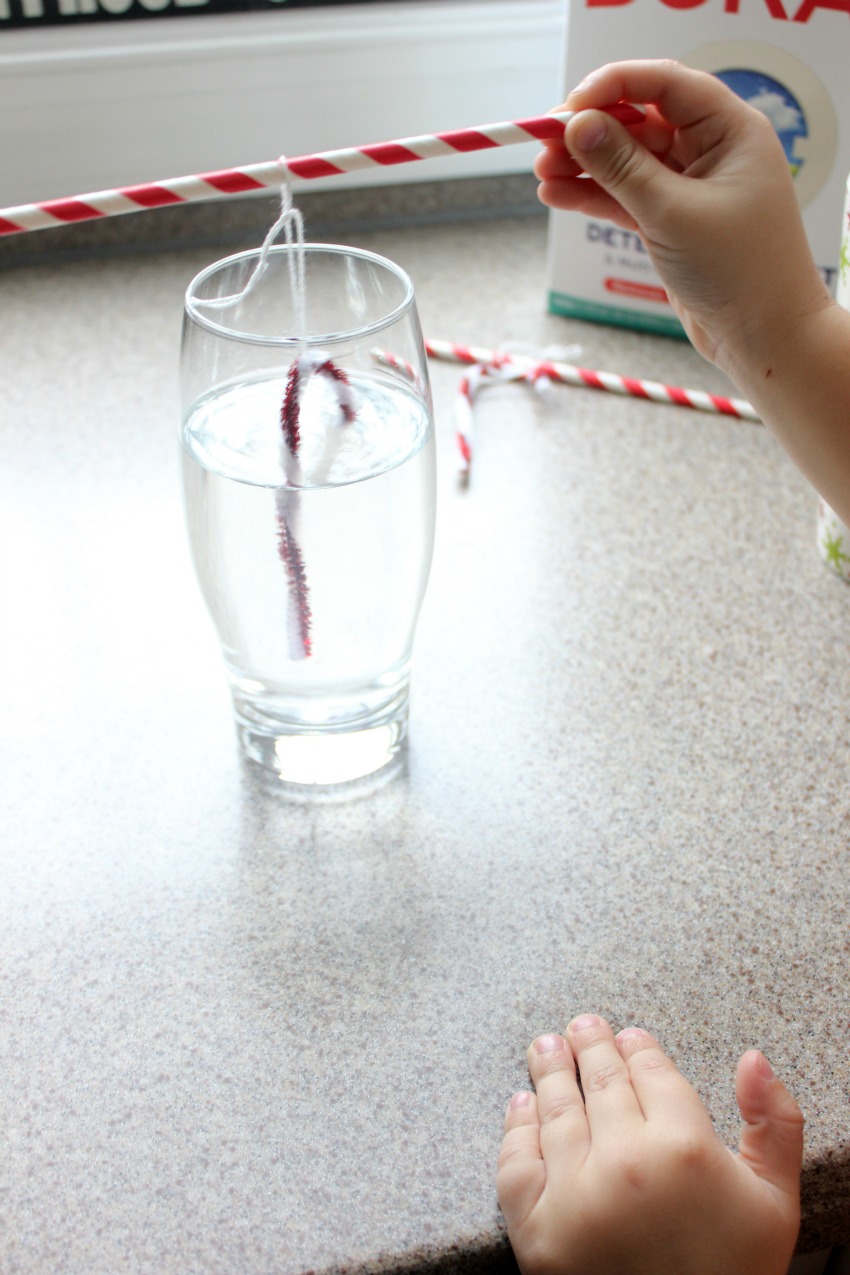 Crystal Candy Cane Science Make and Takes
