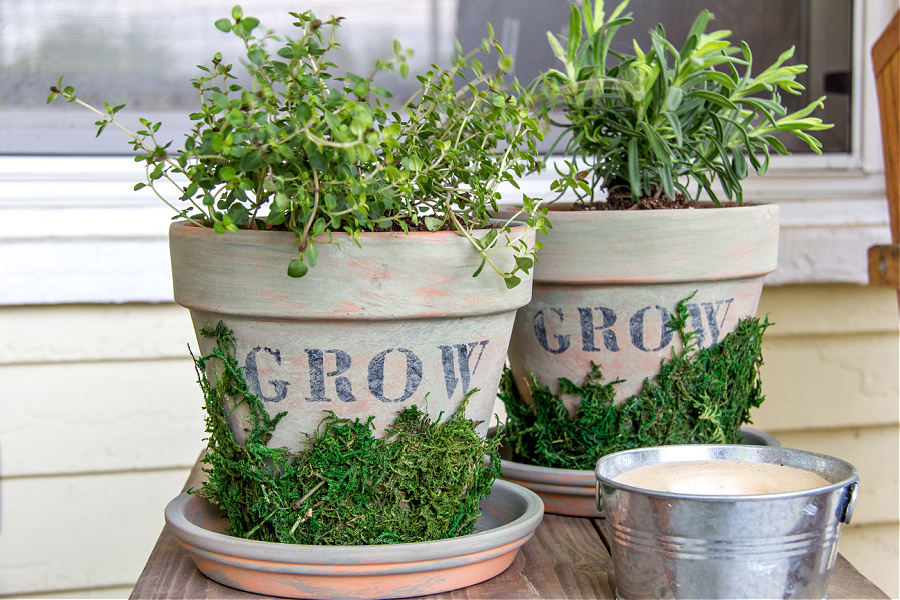 terracotta pots painted with milk paint and decorated with craft moss and stensils