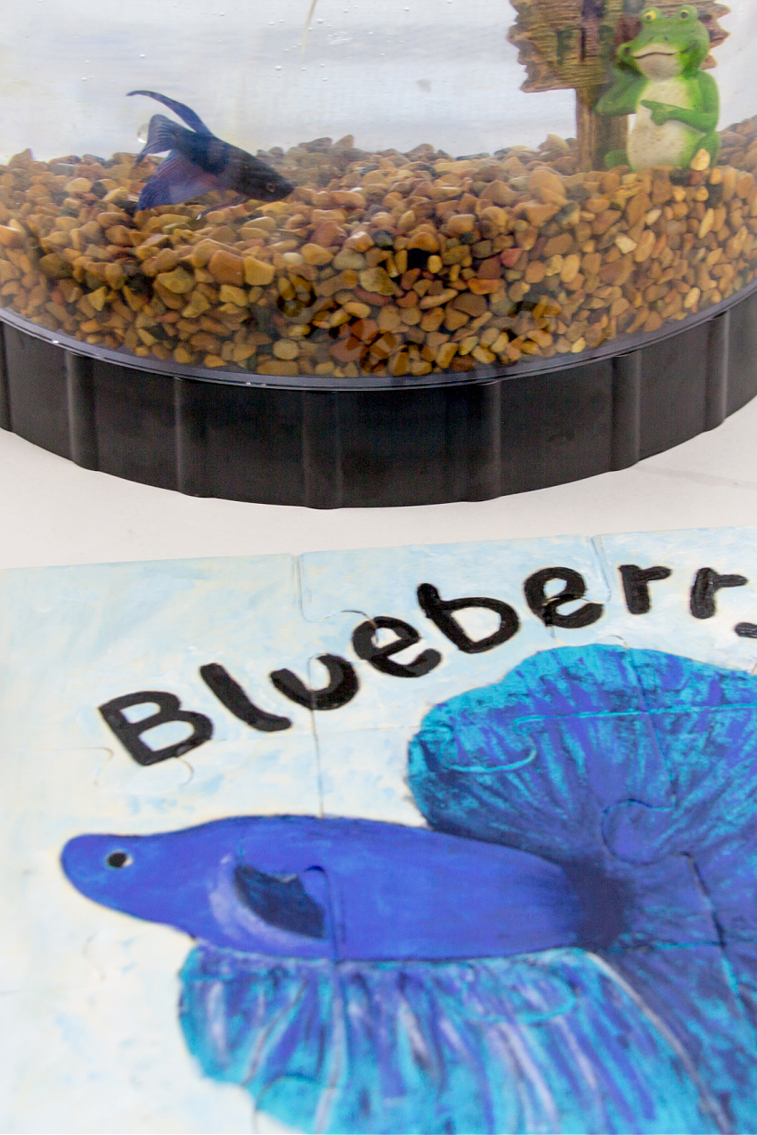a hand painted puzzle of a family pet betta fish