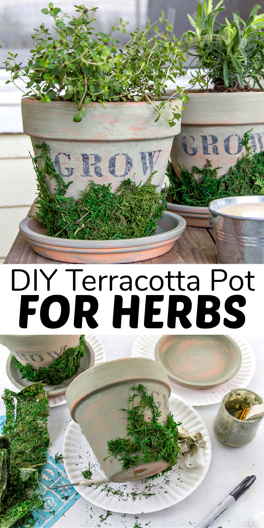 Decorate and Paint Terracotta Planter for Herbs - Make and Takes