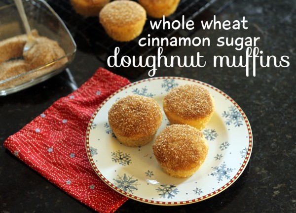 Whole Wheat Cinnamon Sugar Doughnut Muffins Whole Wheat Cinnamon Sugar Doughnut Muffins