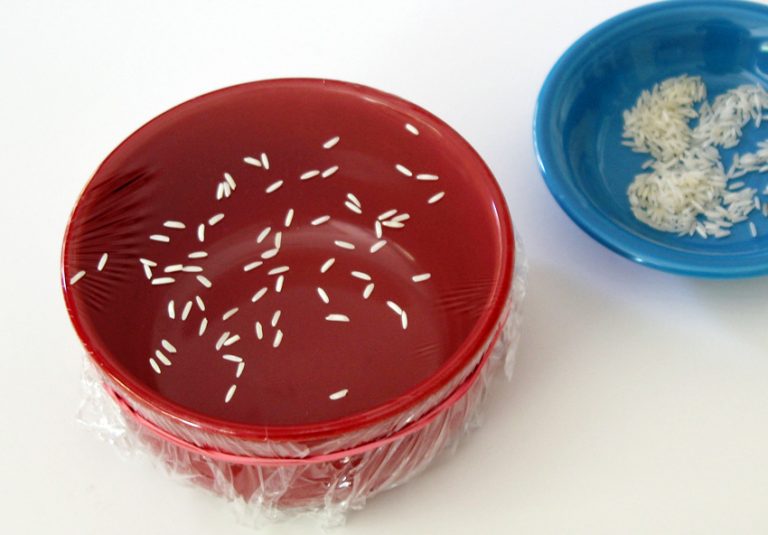 Handson Science Make a Model Eardrum Make and Takes