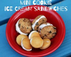 mini-cookie-ice-cream-sandwiches