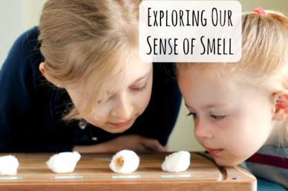 Exploring Our 5 Senses Smell Tests with Kids