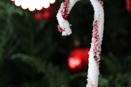 crystal candy cane science experiment for kids