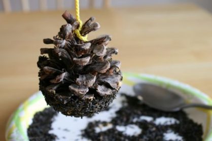 Pine Cone Bird Feeder