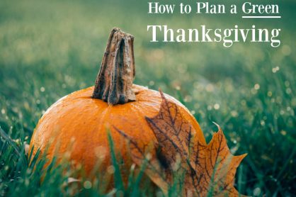 How to Plan a Green Thanksgiving