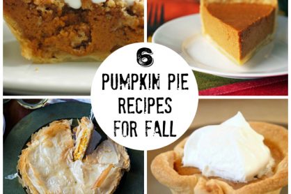 6 Pumpkin Pie Recipes for Fall