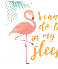 I Can Do This In My Sleep Flamingo