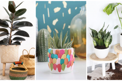 DIY Planters