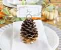 thankgiving pine cone name card holders