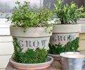 terracotta pots painted with milk paint and decorated with craft moss and stensils
