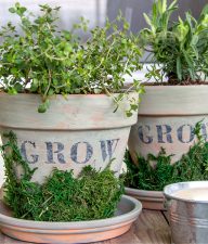 terracotta pots painted with milk paint and decorated with craft moss and stensils