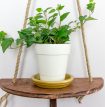homemade wood hanging planter