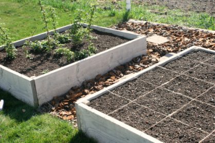 Square Foot Gardening Beds