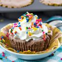 gluten-free ice cream cake cupcakes with sprinkles