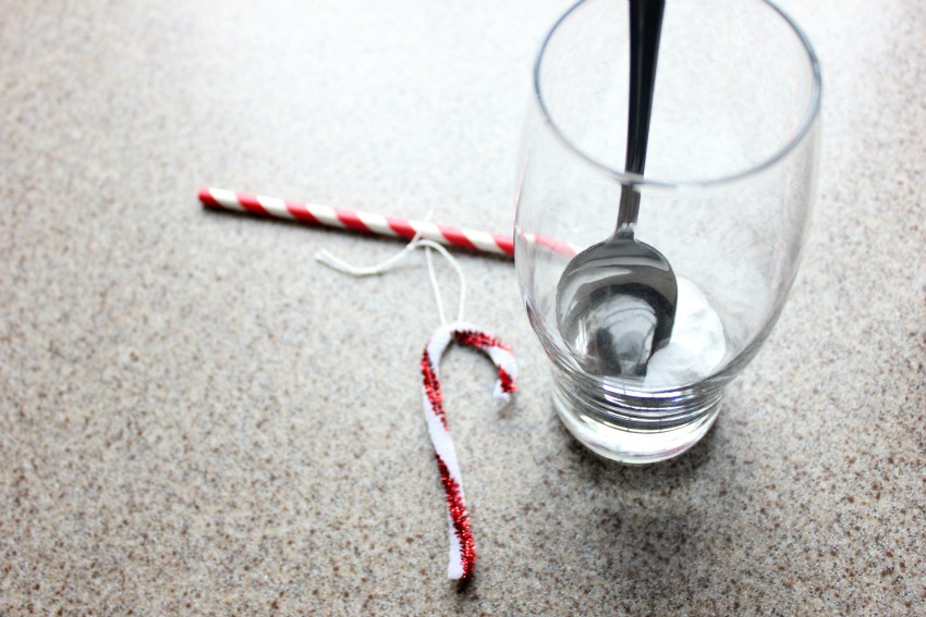 Crystal Candy Cane Science Make and Takes