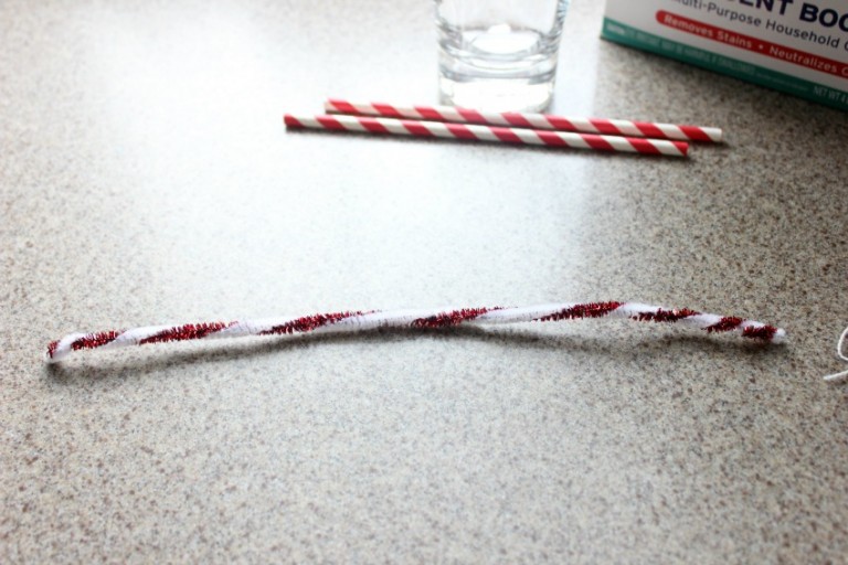 Crystal Candy Cane Science Make and Takes