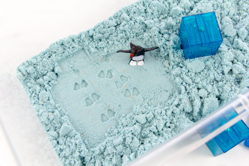 penguin footprint in a winter sensory bin using blue sand