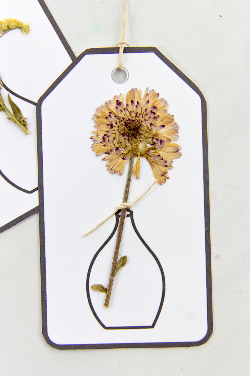 a pressed flower attach to a gift tag with a vase printed on it