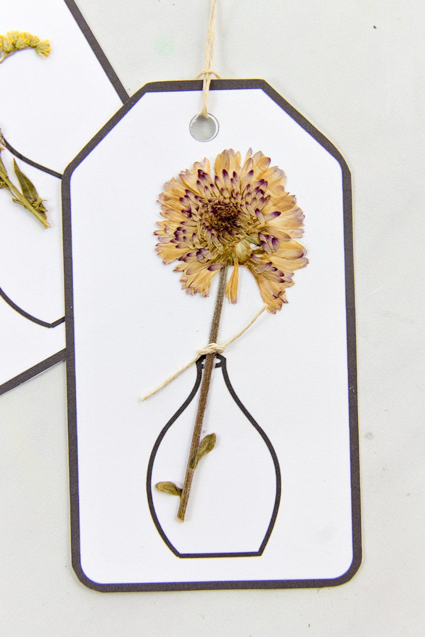 Tag: dried flower crafts