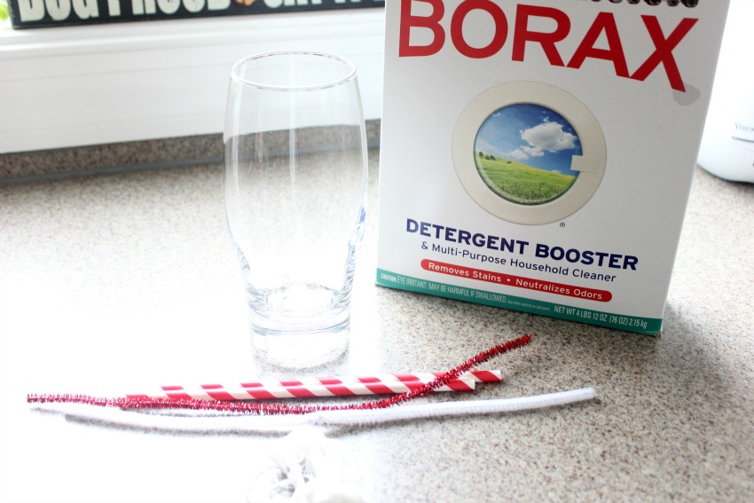 Crystal Candy Cane Science Make and Takes